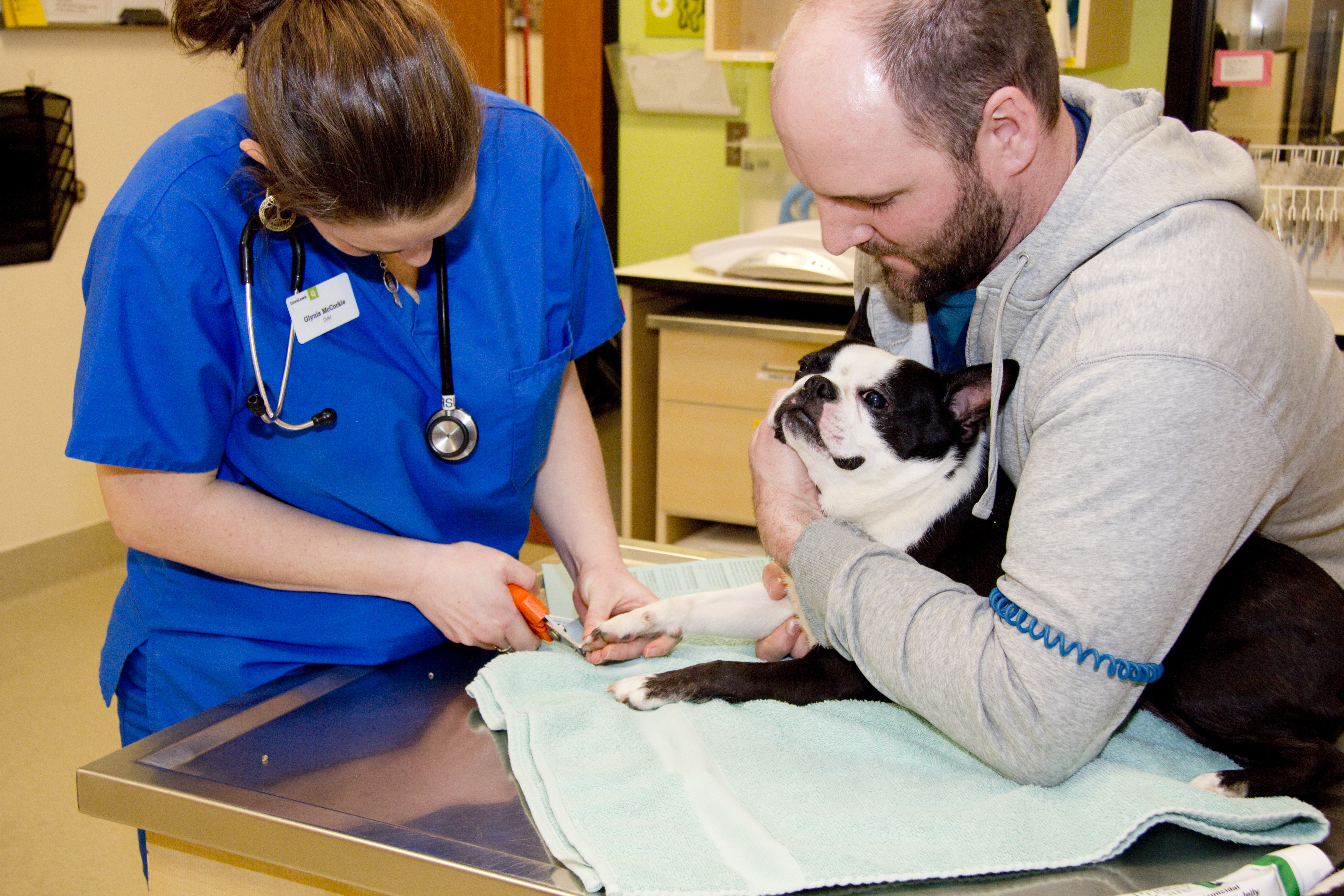 Pet clinic. Ветеринар. Ветеринарная клиника для животных. Ветеринария для детей. Профессия ветеринарный врач.